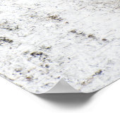 Birkenrinde Poster (Ecke)