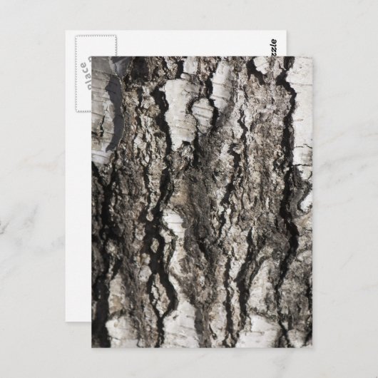 Birkenrinde Postkarte (Vorne/Hinten)