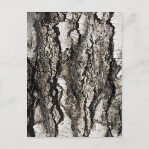 Birkenrinde Postkarte