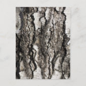 Birkenrinde Postkarte (Vorderseite)