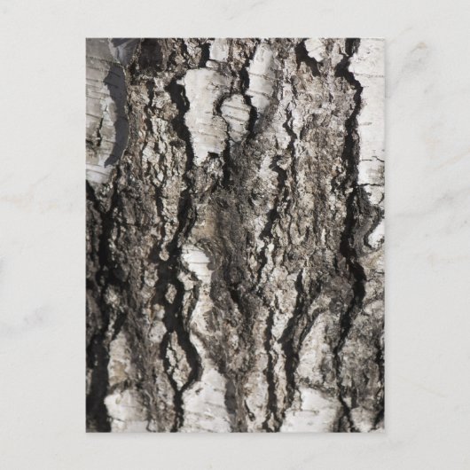 Birkenrinde Postkarte (Vorderseite)