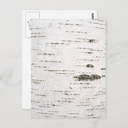 Birkenrinde Postkarte (Vorne/Hinten)