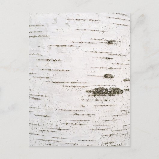 Birkenrinde Postkarte (Vorderseite)