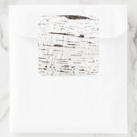 Birkenrinde Quadratischer Aufkleber (Tasche)