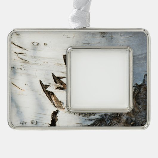 Birkenrinde Rahmen-Ornament Silber (Vorderseite)