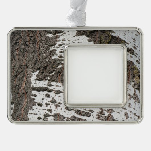 Birkenrinde Rahmen-Ornament Silber (Vorderseite)