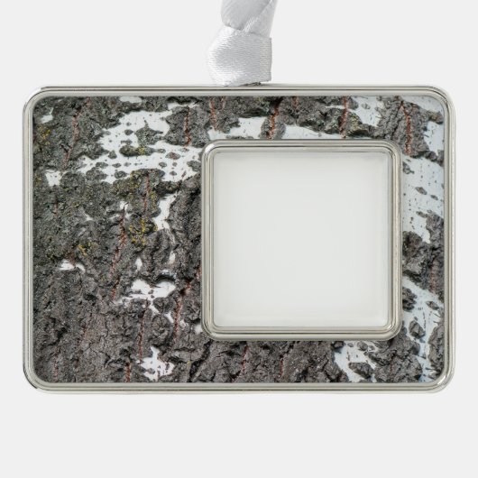 Birkenrinde Rahmen-Ornament Silber (Vorderseite)