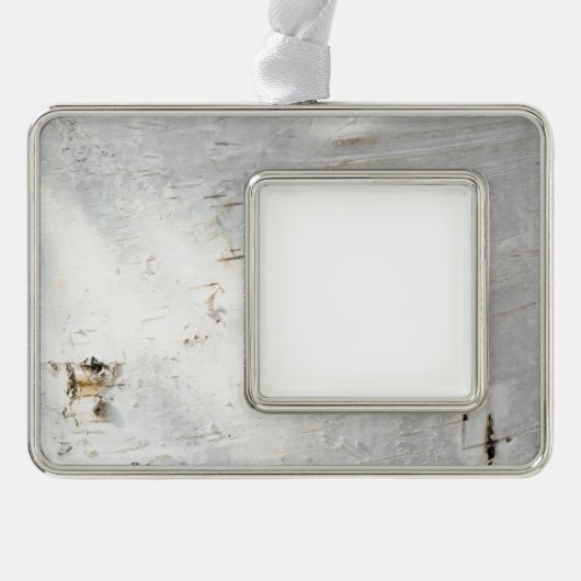 Birkenrinde Rahmen-Ornament Silber (Vorderseite)