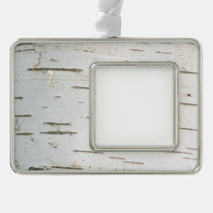 Birkenrinde Rahmen-Ornament Silber