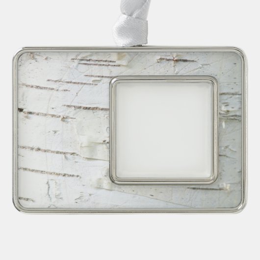 Birkenrinde Rahmen-Ornament Silber (Vorderseite)