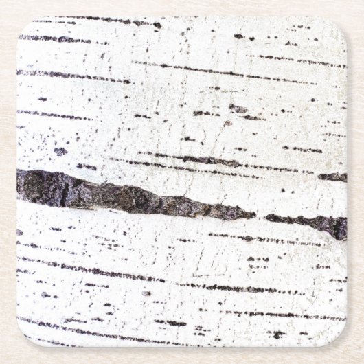 Birkenrinde Rechteckiger Pappuntersetzer (Vorderseite)