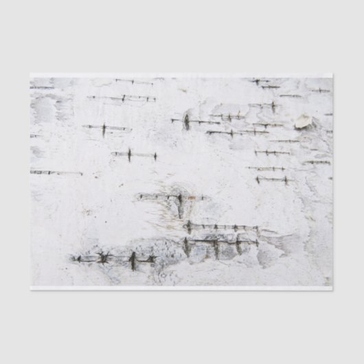 Birkenrinde Seidenpapier (Vorderseite)