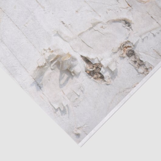 Birkenrinde Seidenpapier (Ausschnitt)