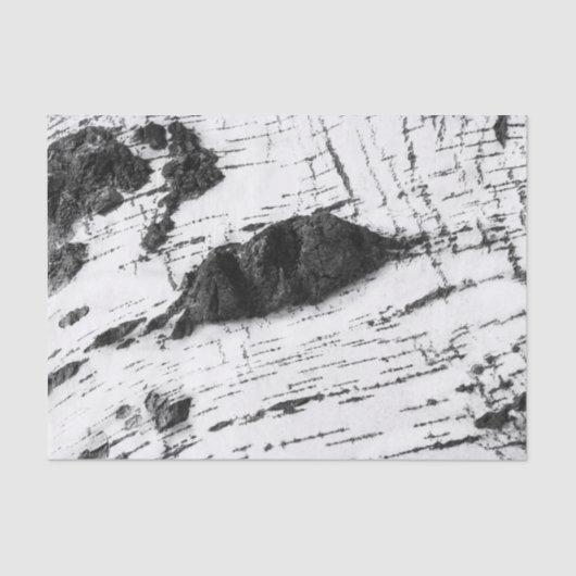 Birkenrinde Seidenpapier (Vorderseite)