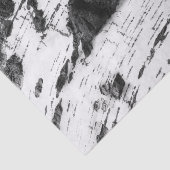 Birkenrinde Seidenpapier (Ausschnitt)