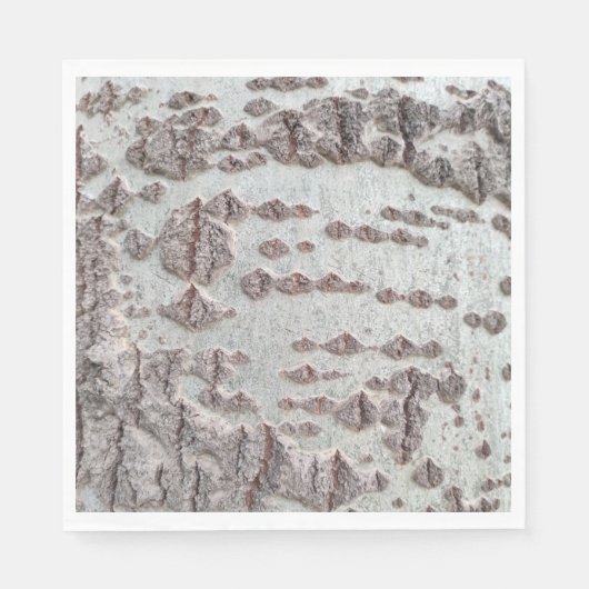 Birkenrinde Serviette (Vorderseite)