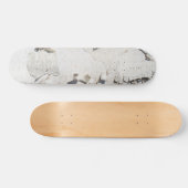 Birkenrinde Skateboard (Horizontal)