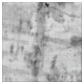 Birkenrinde Stoff (Nahaufnahme)