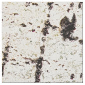 Birkenrinde Stoff (Nahaufnahme)