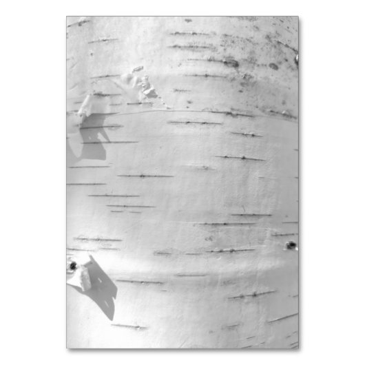 Birkenrinde Tischnummer (Vorderseite)