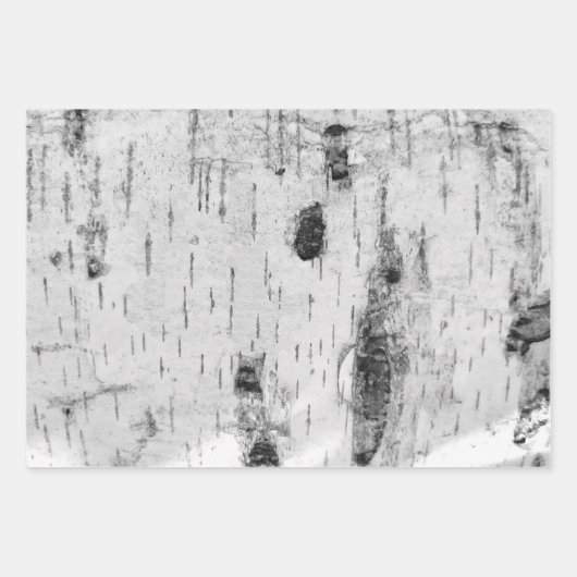 Birkenrinde-Verpackungsmuster Geschenkpapier Set (Vorderseite 3)