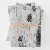 Birkenrinde-Verpackungsmuster Geschenkpapier Set (Beispiel)