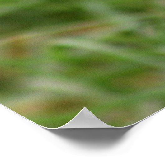 Birkenschale Nr. 1 Poster (Ecke)