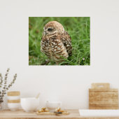 Birkenschale Nr. 1 Poster (Küche)