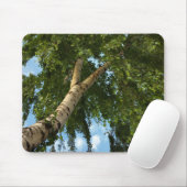Birkenschirm Mousepad (Mit Mouse)