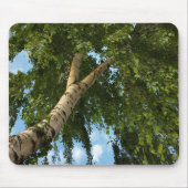 Birkenschirm Mousepad (Vorne)