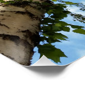 Birkenschirm Poster (Ecke)