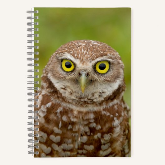 Birkenschüssel Notizblock (Vorderseite)