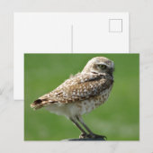 Birkenschüssel Postkarte (Vorne/Hinten)