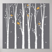 Birkenvögel Poster (Vorne)