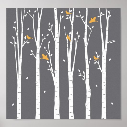 Birkenvögel Poster (Vorne)