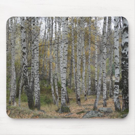 Birkenwald-Foto auf Mauspad (Vorne)