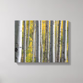 "Birkenwald" Leinwanddruck (Vorderseite)