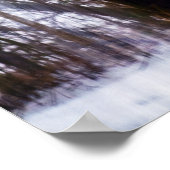 Birkenwälder Poster (Ecke)