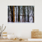 Birkenwälder Poster (Küche)