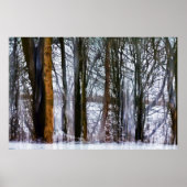 Birkenwälder Poster (Vorne)