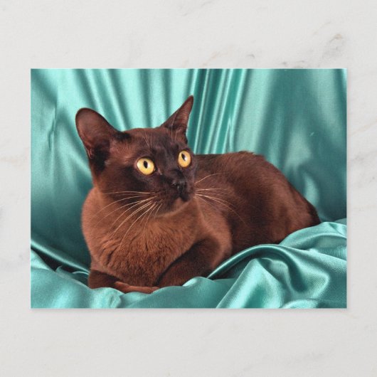 Birma, braun postkarte (Vorderseite)