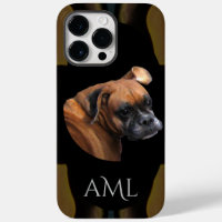 Birma Der Boxerhund
