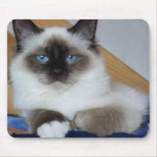birman 2.png mousepad