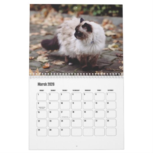 Birman Calendar Kalender (Mär 2026)