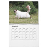 Birman Calendar Kalender (Feb 2026)