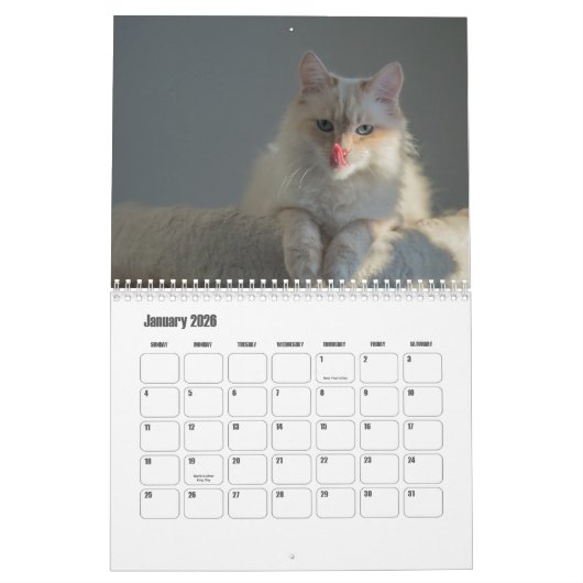 Birman Calendar Kalender (Jan 2026)