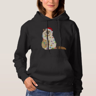Birman Cat Christmas Lights Xmas Cat Lover Santa H Hoodie