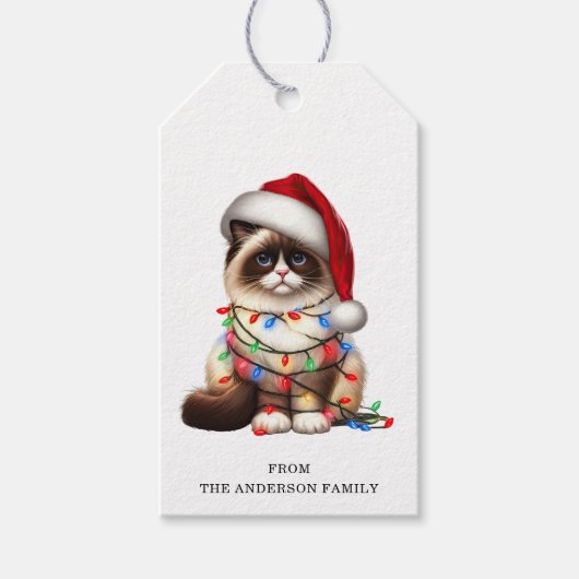 Birman Cat Gift Tags Geschenkanhänger (Vorderseite)