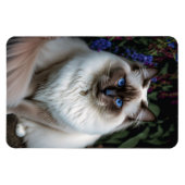 Birman Cat im Garden Magnet (Horizontal)