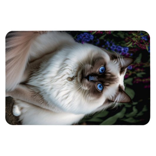 Birman Cat im Garden Magnet (Horizontal)
